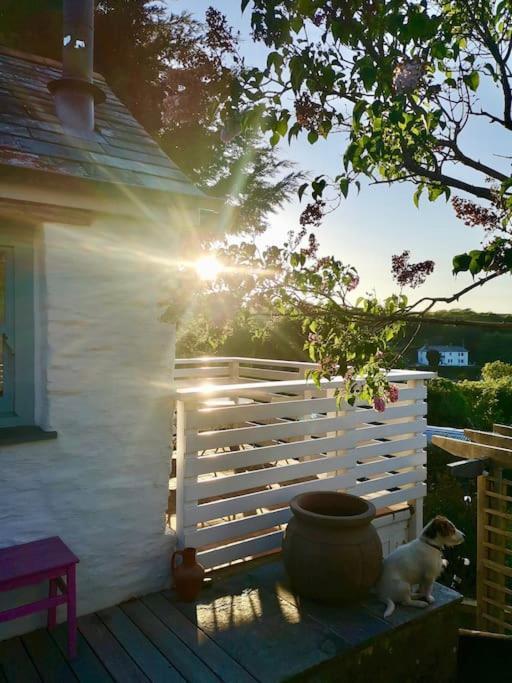 The Little Post House. A Perfect Village Retreat, With Stunning Views. Boscastle Eksteriør billede